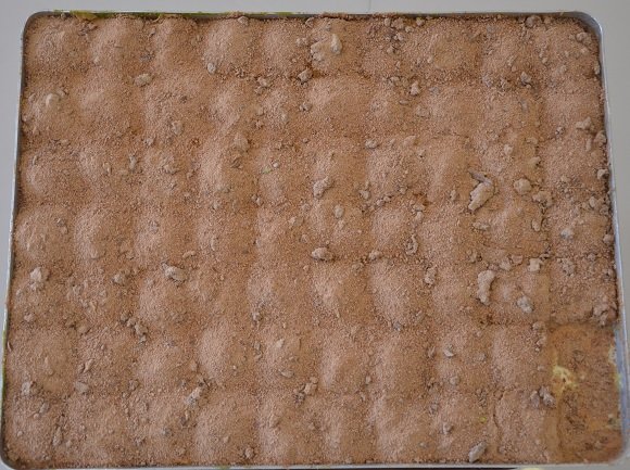Soğuk Baklava Tepsi